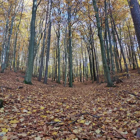 بيت للعطل Na Wzgorzu - Caloroczny