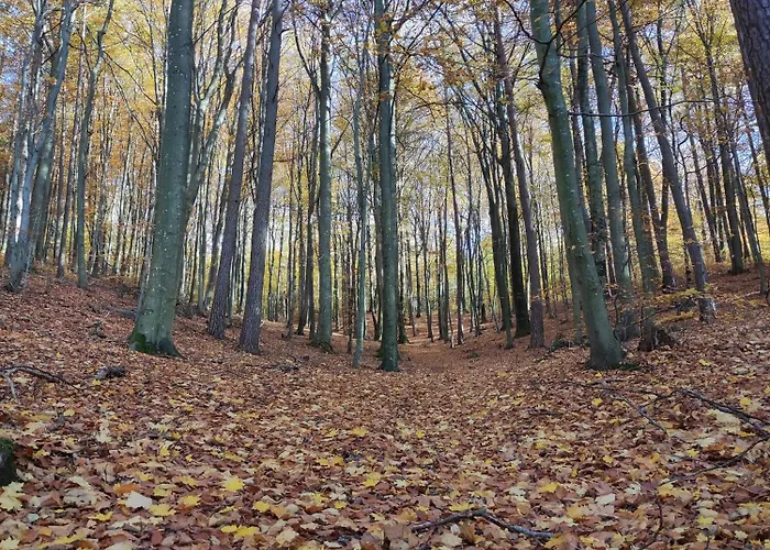 בית נופש Na Wzgorzu - Caloroczny